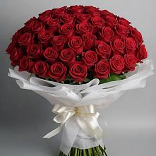 Букет 101 Красная роза Блэк Мэджик в Преградной