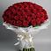 Букет 101 Красная роза Блэк Мэджик в Преградной