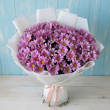 Букет цветов из:  Хризантемы #REPLACE_PRED# Преградной