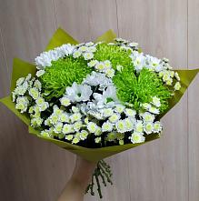 Букет цветов из:  Хризантемы #REPLACE_PRED# Преградной