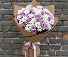 Букет цветов из:  Хризантемы #REPLACE_PRED# Преградной