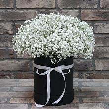 Цветочная композиция из Гипсофила в шляпной коробке в Преградной
