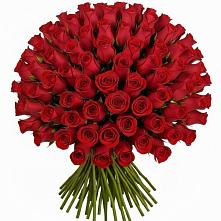 Букет Красные розы Чери Лав #REPLACE_PRED# Преградной